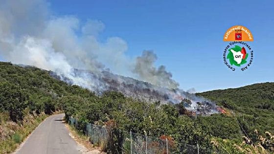 Incendi boschivi: la Toscana è pronta per affrontare la stagione estiva