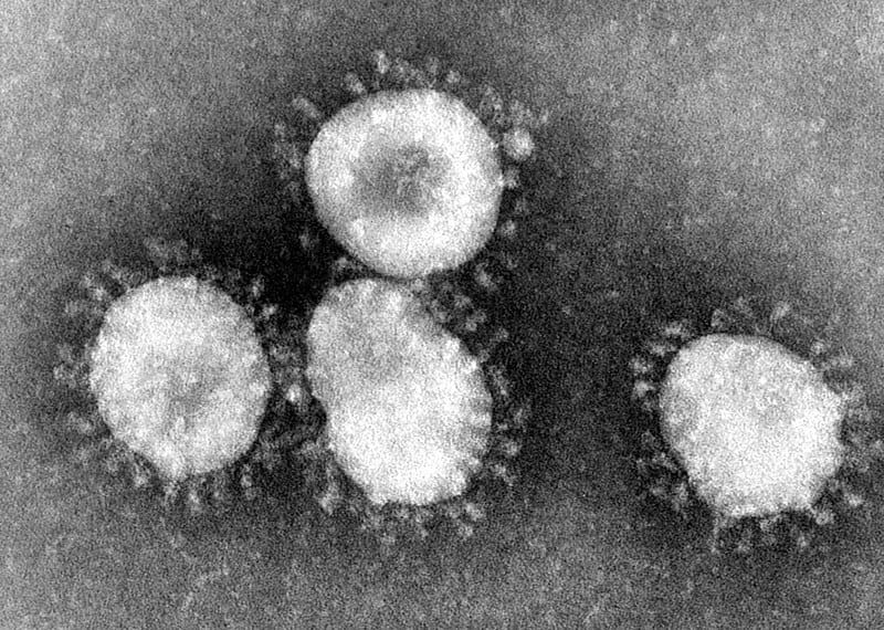 coronavirus forte dei marmi