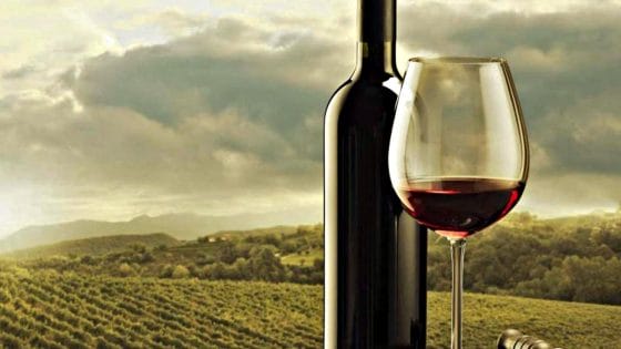 Consorzio Chianti Colli Fiorentini: persa 30% uva ogni anno, causa ungulati