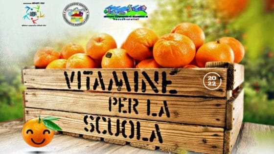 🎧 “Vitamine per la scuola”, le arance siciliane dei terreni sequestrati alla mafia
