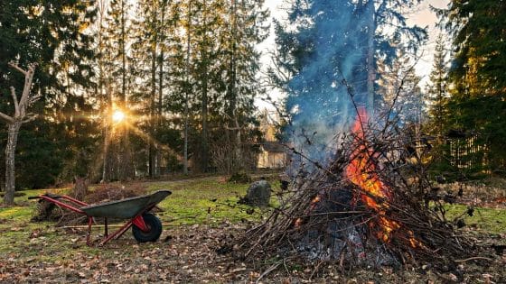 Abbruciamento vietato in Toscana fino al 3 aprile, e a Scandicci un uomo incendia bosco bruciando residui potatura