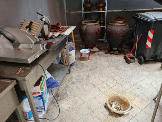 Prato: sanitari trovano anguilla tra gli escrementi di topo. Chiuso ristorante
