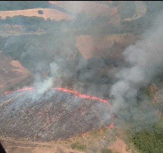 Fiamme in Maremma: incendio in bosco in zona Cinigiano