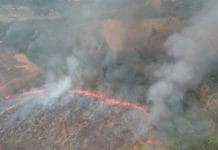 Incendio bosco Cinigiano