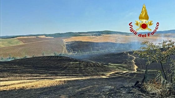 Incendi, Coldiretti Toscana: giugno da dimenticare