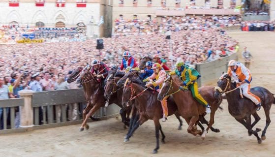 Palio di Siena, Civetta e Istrice non parteciperanno per infortuni, denuncia di AIDA&A