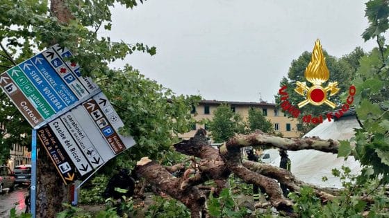 Maltempo, Firenze: alberi sradicati al Galluzzo e un immobile evacuato all’Isolotto